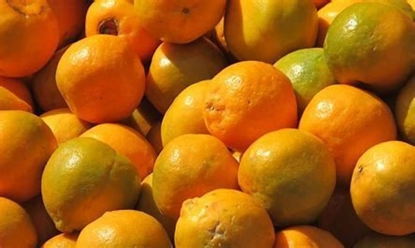  Oranges / Nagpur Oranges  - ( 1kg)