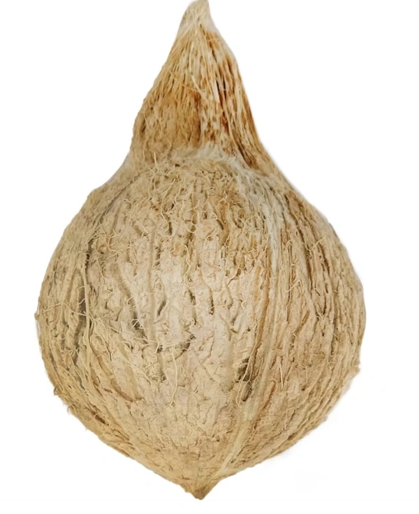 Coconut 1 Units