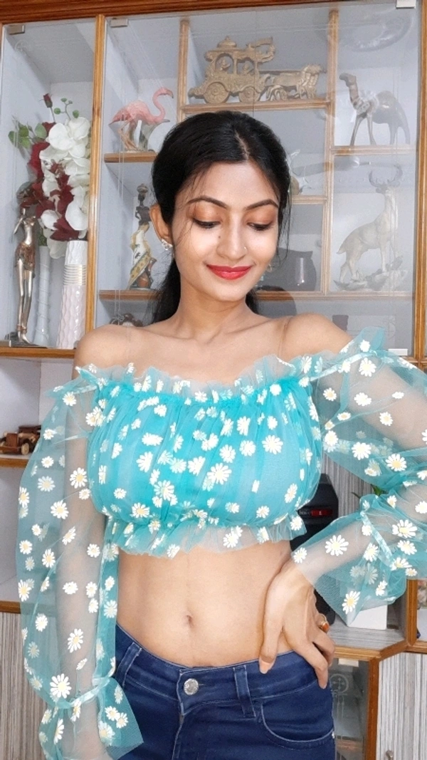 Off Shoulder Imported Net Top  - net, S (Bust Size: 32 in, Length Size: 13 in) 