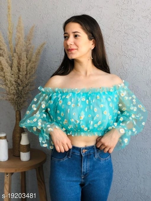 Off Shoulder Imported Net Top  - net, M (Bust Size: 34 in, Length Size: 13 in) 