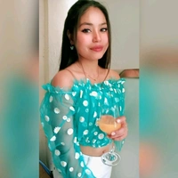 Off Shoulder Imported Net Top  - net, M (Bust Size: 34 in, Length Size: 13 in) 