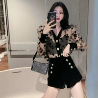 LAPEL Transparent FLOWER SHIRT TOP - M (Bust Size: 38 in, Length Size: 22 in) , net