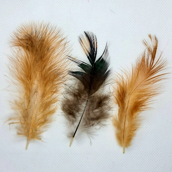 Feathers-Brown-10gm - Brown