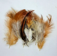 Feathers-Brown-10gm - Brown