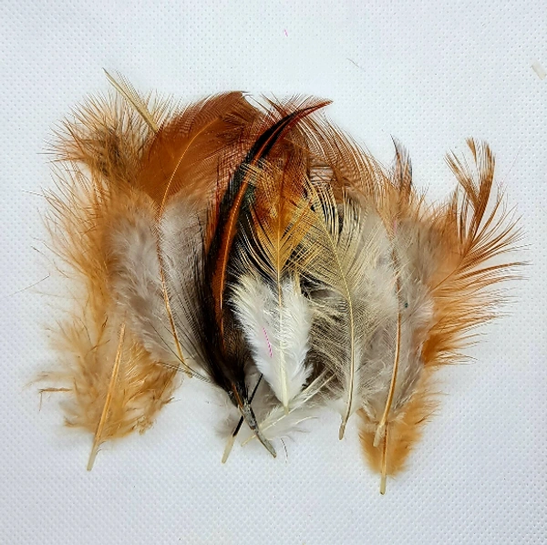 Feathers-Brown-10gm - Brown