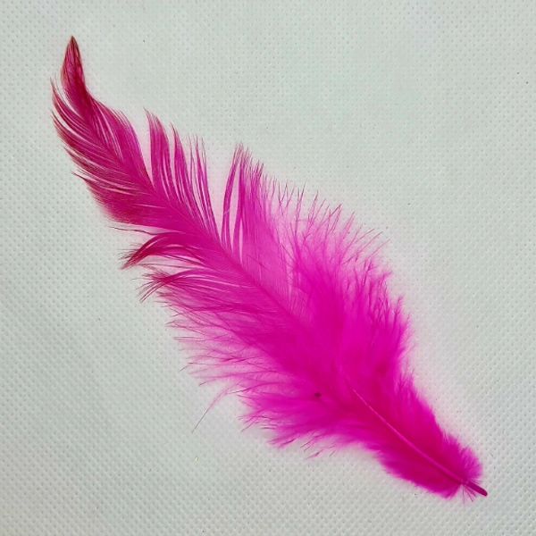Feathers-Pink-10gm - Pink