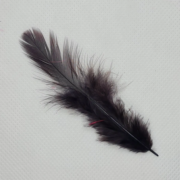 Feathers-Black-10gm - Black