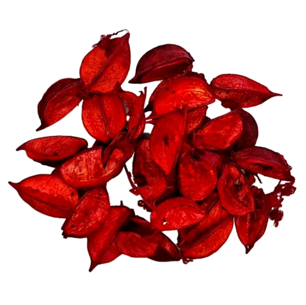 Craft Affaire Dried Rose Petals-Red-100gm