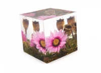 Craft Affaire Cube Resin Mould - 3.5x3.5x3.5 cm