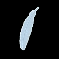 Craft Affaire Feather Bookmark - 16 x 4 cm