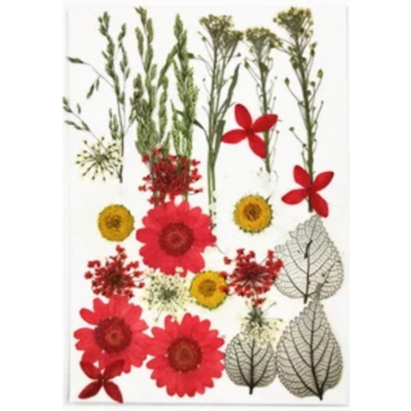 Craft Affaire Dried Pressed Flowers Sheet - 24 Pieces - Design 02