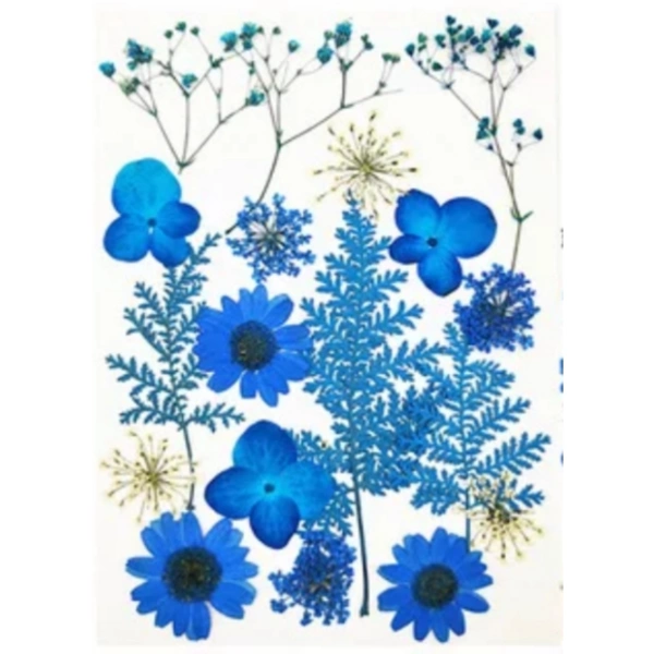 Craft Affaire Dried Pressed Flowers Sheet - 18 pieces - Design 01