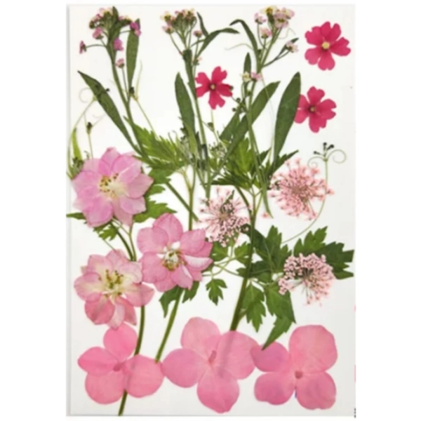 Craft Affaire Dried Pressed Flowers Sheet - 18 Pieces - Design 02