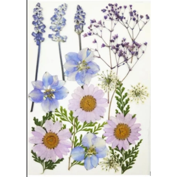 Craft Affaire Dried Pressed Flowers Sheet - 18 Pieces - Design 03