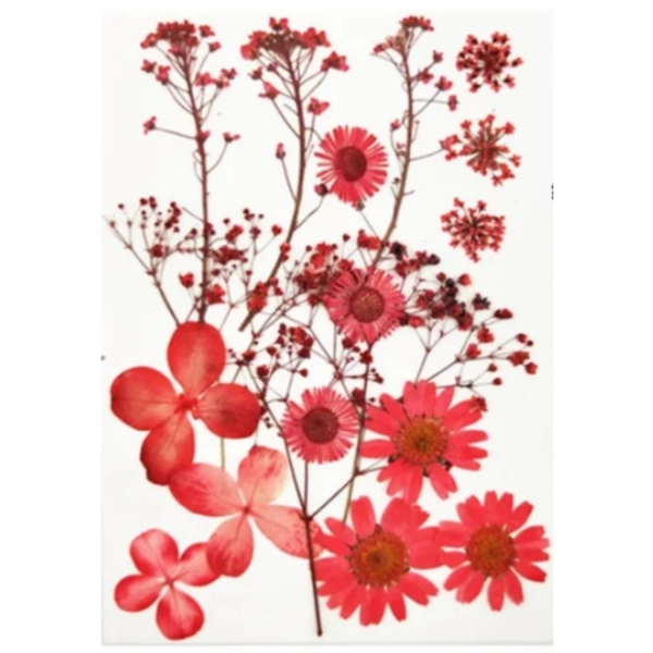 Craft Affair Dried Pressed Flowers Sheet - 16 Pieces - Design 02