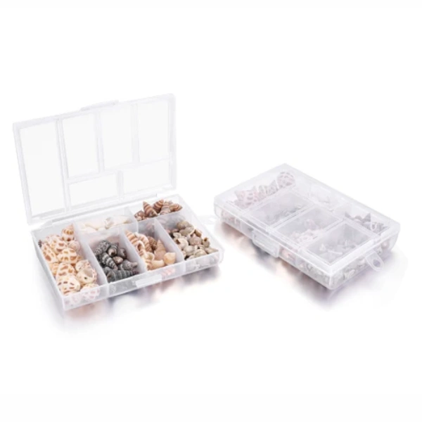 Mixed Sea Shell Box - 100 gm