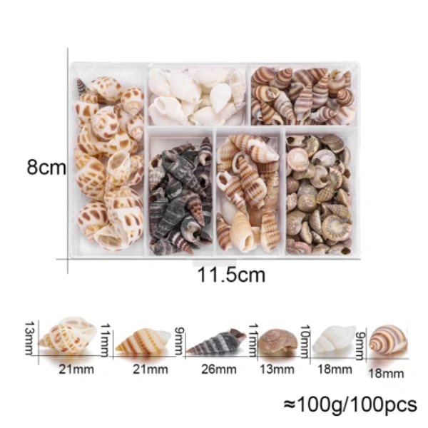 Mixed Sea Shell Box - 100 gm