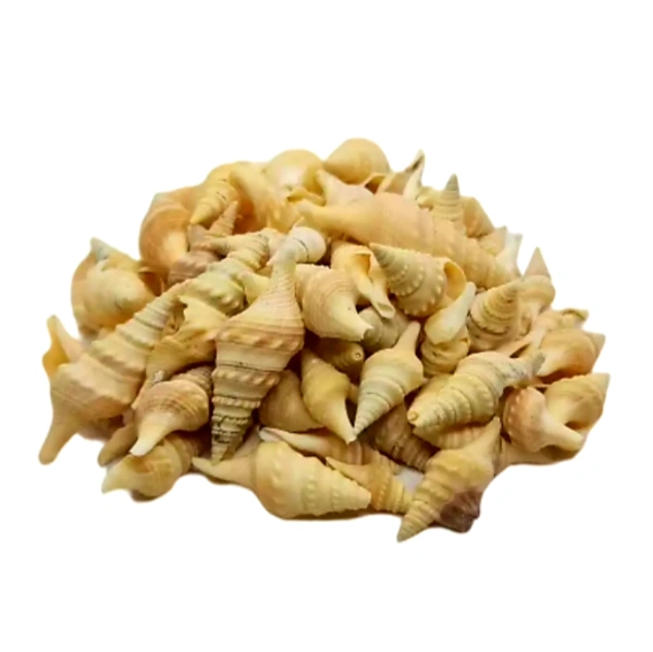 Sea Shells - Design 04 - 150 gm