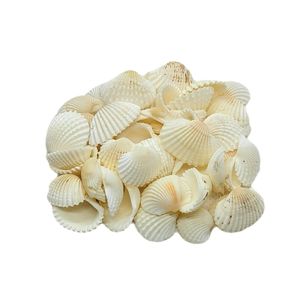 Sea Shells - Design 07 - 100g