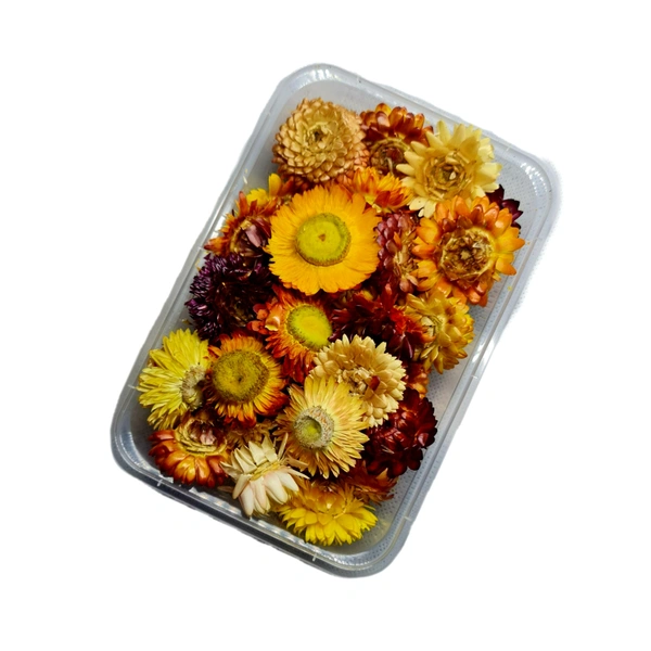 Dried Flower Box - Sunflower