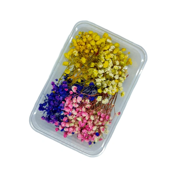 Dried Flower Box - Sticks Mix