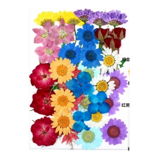 Dried Flowers - Desing 10 - 36 pieces