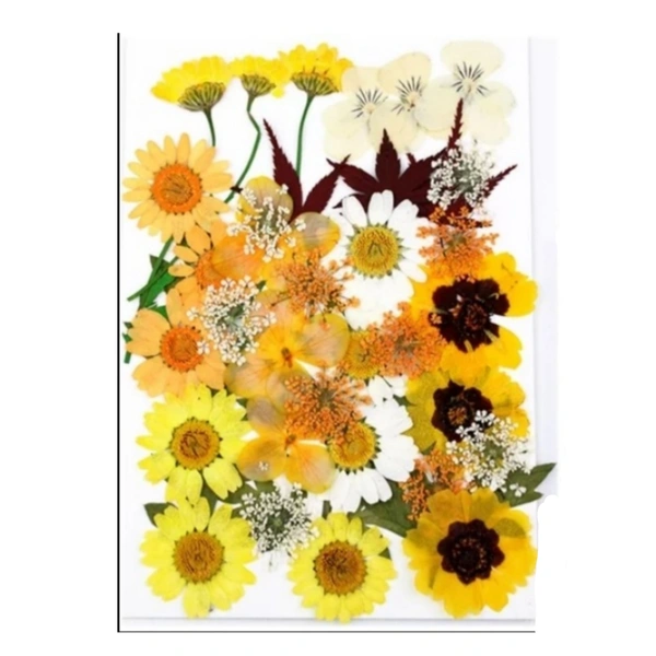 Dried Flowers - Design 11 - 37 Pieces