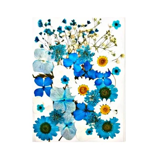 Dried Flowers - Design 12 - 35 Pieces