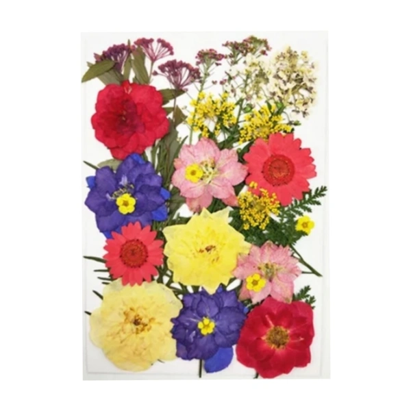 Dried Flowers - Design 13 - 33 Pieces