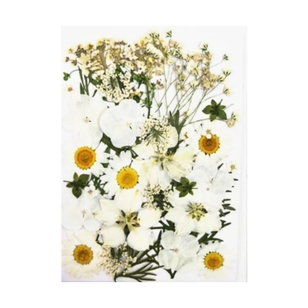 Dried Flowers - Design 14 - 37 Pieces
