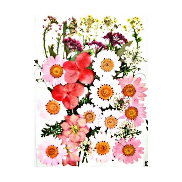 Dried Flowers - Design 15 - 36 Pieces