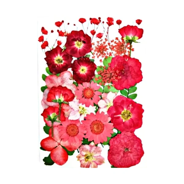 Dried Flowers - Design 16 - 29 Pieces
