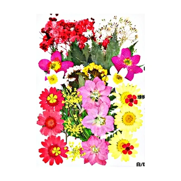 Dried Flowers - Design 17 - 35 Pieces