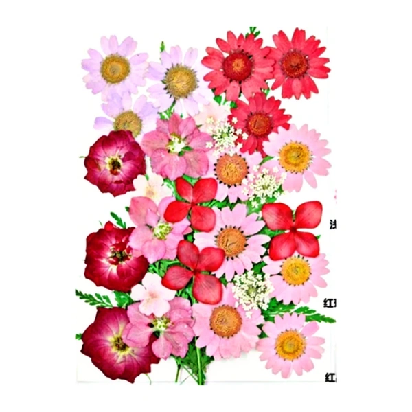 Dried Flowers - Design 18 - 30 Pieces