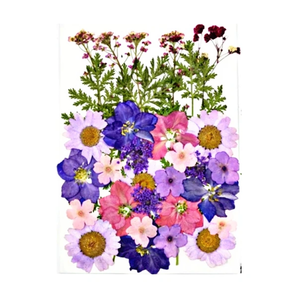 Dried Flowers - Design 19 - 35 Pieces
