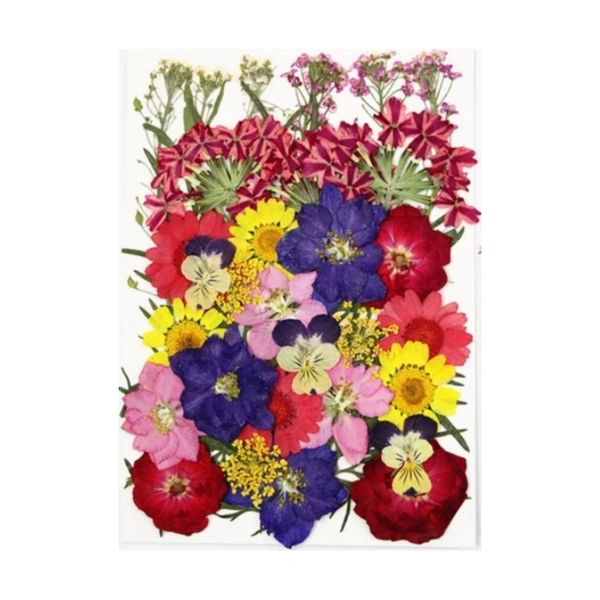 Dried Flowers - Design 20 - 30 Pieces