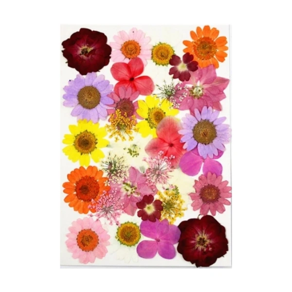 Dried Flowers - Design 21 - 30 Pieces