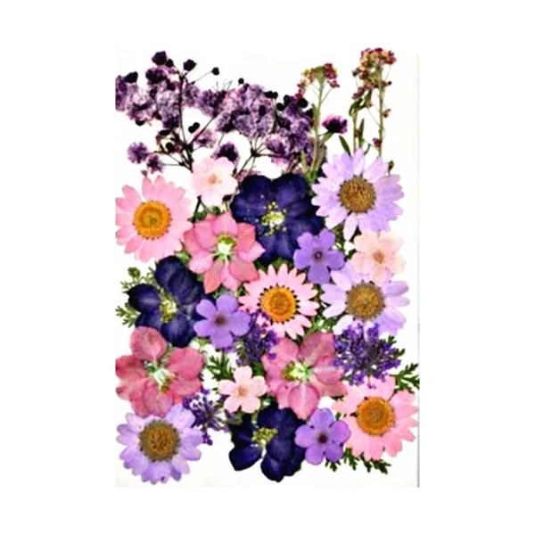 Dried Flowers - Design 22 - 30 Pieces
