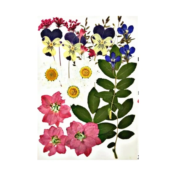 Dried Flowers - Design 23 - 24 Pieces
