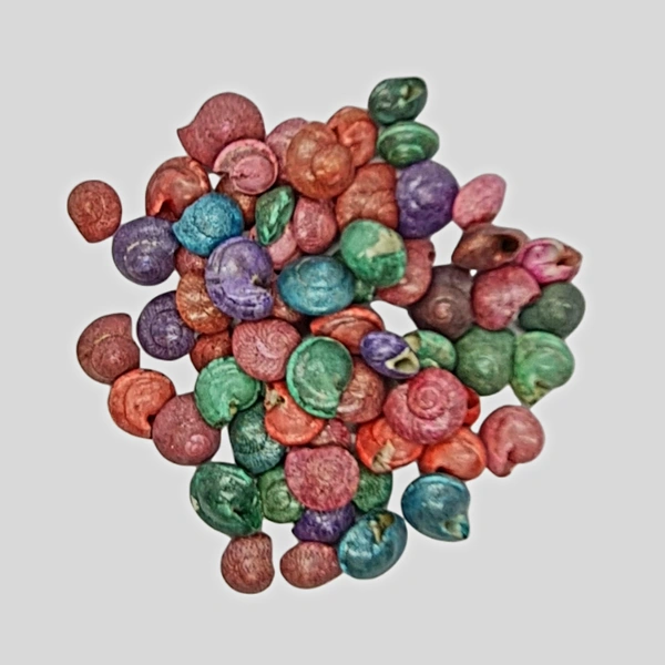 Sea Shells - Design 08 - 150g