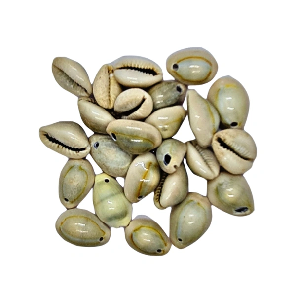 Sea Shells - Design 11 - 150g