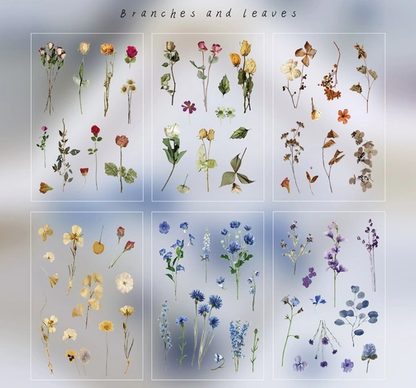 Dried Flowers Stickers - Roses - Pack of 6 Sheets