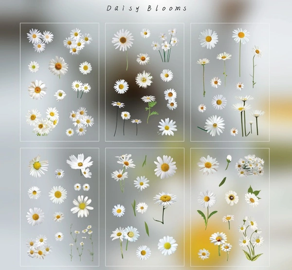Dried Flowers Stickers - Daisies - Pack Of 6 Sheets