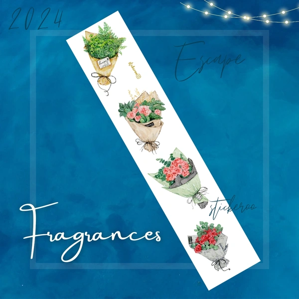 Fragrances 