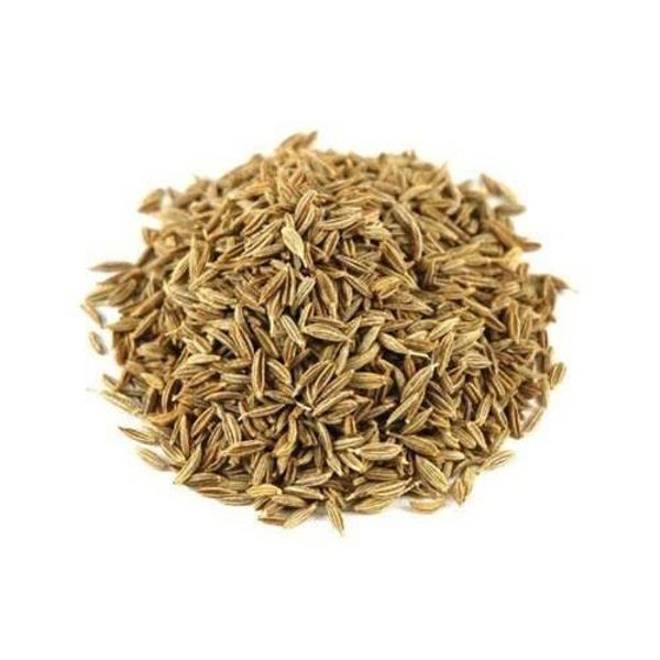 Jeera Seeds (गोटा जीरा) - 50 Gm