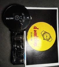PAIDU TD - SILVER BLACK