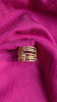 Phirni Golden Ring