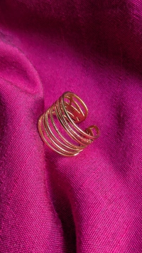 Phirni Golden Ring