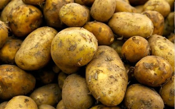 Potato : 1 Kg - P