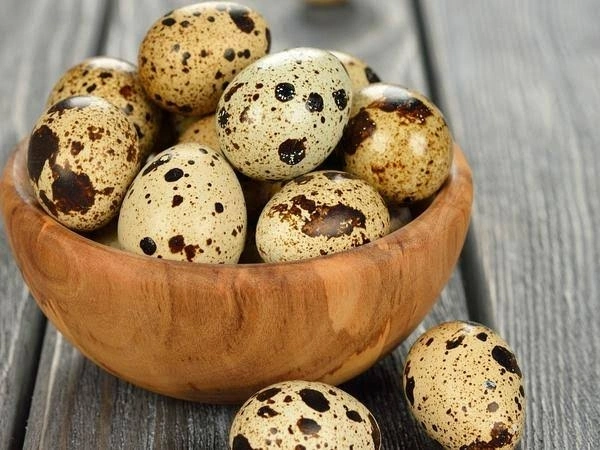 Egg Qauil( കാടമുട്ട )10pics 